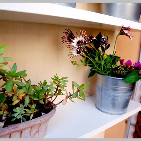 Holiday Rome Apartment 罗马